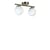 Blanc