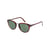 Marron Tortoise Brown/Green Plz