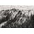 Tableau Alu Dibond