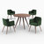 Marron Et Vert Foncé