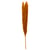 Ocre