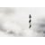 Tableau Alu Dibond