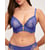 Bleu Foncé