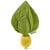 Jaune, Vert
