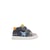 Gris-Bleu-Vert Olive