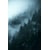 Tableau Alu Dibond