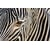 Tableau Alu Dibond