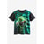 Grenouille Verte