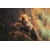 Tableau Alu Dibond