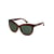 Marron Tortoise Brown/Green Plz