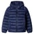 Bleu Dulwich