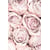 Tableau Alu Dibond