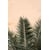 Tableau Alu Dibond