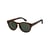 Marron Tortoise Brown/Green Plz