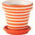 Orange Et Blanc