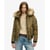Olive Militaire