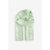Feuille Vert Sauge