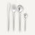 Shiny Stainless Steel