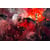 Tableau Alu Dibond