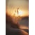 Tableau Alu Dibond