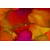 Tableau Alu Dibond