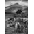 Tableau Alu Dibond
