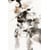 Tableau Alu Dibond
