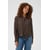 Marron Coffee Bean Turtledove Dot
