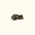 Ecaille De Tortue