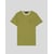Vert Arbuste/ Blanc
