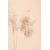 Tableau Alu Dibond