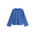 Rayures Bleues