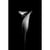 Tableaux Sur Toile-Noir & Blanc