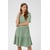 Vert Green Milieu