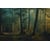 Tableau Alu Dibond
