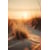Tableau Alu Dibond