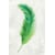 Tableau Alu Dibond