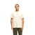 Beige Bone White