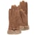 Brun Camel