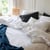 Blanc Et Anthracite