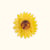 Jaune Tournesol