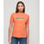 Corail Fusion