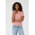 Rose Misty Rose Cc
