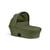 Moss Green