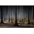 Tableau Alu Dibond