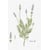 Tableau Alu Dibond
