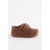 Marron Fauve