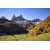 Tableau Alu Dibond