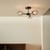 Matt Black