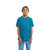 Bleu Colonial Blue